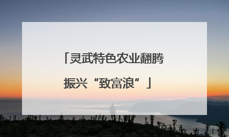 灵武特色农业翻腾振兴“致富浪”