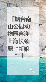 烟台南山公园动物园喜迎上海长颈鹿“新娘”