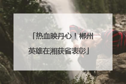 热血映丹心！郴州英雄在湘获省表彰