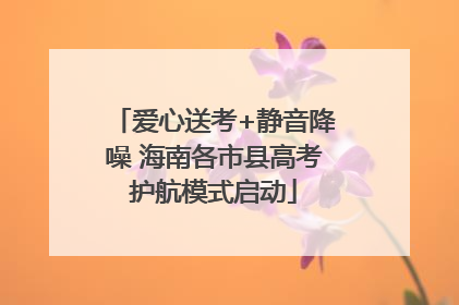 爱心送考+静音降噪 海南各市县高考护航模式启动