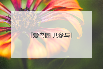 爱鸟周 共参与
