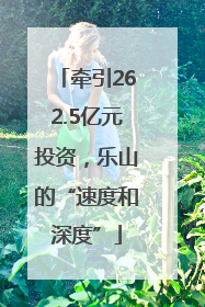 牵引262.5亿元投资，乐山的“速度和深度”