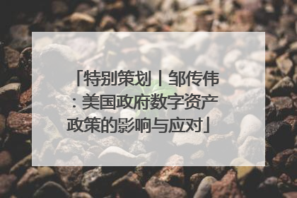 特别策划丨邹传伟：美国政府数字资产政策的影响与应对
