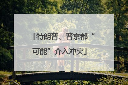 特朗普、普京都“可能”介入冲突