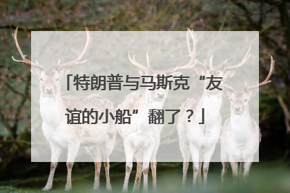 特朗普与马斯克“友谊的小船”翻了？