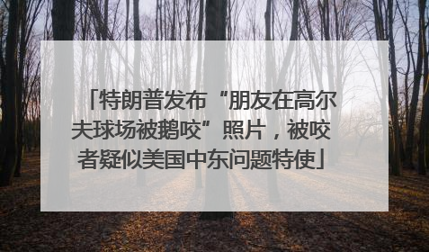特朗普发布“朋友在高尔夫球场被鹅咬”照片，被咬者疑似美国中东问题特使