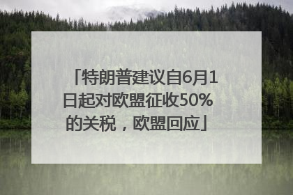 特朗普建议自6月1日起对欧盟征收50%的关税，欧盟回应
