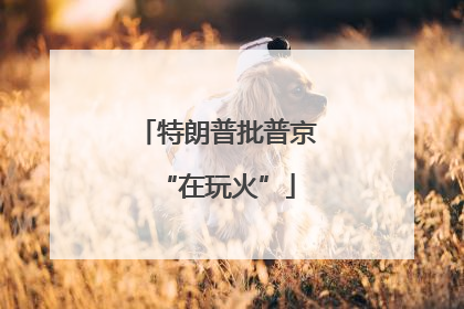 特朗普批普京“在玩火”