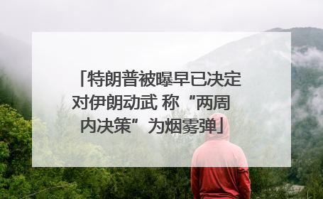 特朗普被曝早已决定对伊朗动武 称“两周内决策”为烟雾弹