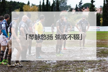 琴脉悠扬 弦歌不辍