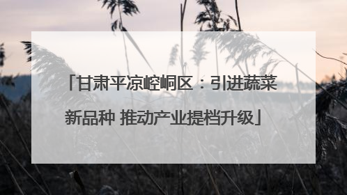 甘肃平凉崆峒区：引进蔬菜新品种 推动产业提档升级
