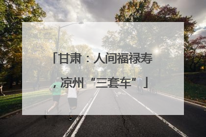 甘肃：人间福禄寿，凉州“三套车”