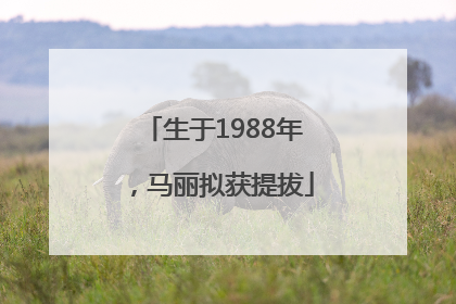 生于1988年，马丽拟获提拔