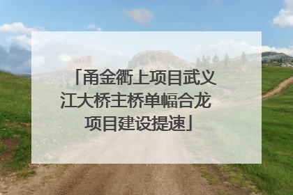 甬金衢上项目武义江大桥主桥单幅合龙 项目建设提速
