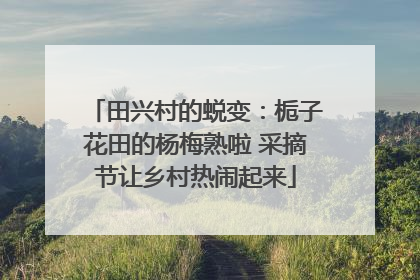 田兴村的蜕变：栀子花田的杨梅熟啦 采摘节让乡村热闹起来