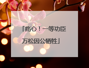 痛心！一等功臣万松因公牺牲