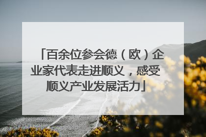 百余位参会德（欧）企业家代表走进顺义，感受顺义产业发展活力