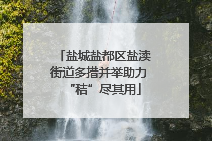 盐城盐都区盐渎街道多措并举助力“秸”尽其用