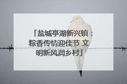 盐城亭湖新兴镇：粽香传情迎佳节 文明新风润乡村