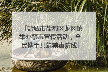 盐城市盐都区龙冈镇举办禁毒宣传活动，全民携手共筑禁毒防线