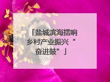 盐城滨海擂响乡村产业振兴“奋进鼓”