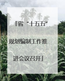 省“十五五”规划编制工作推进会议召开