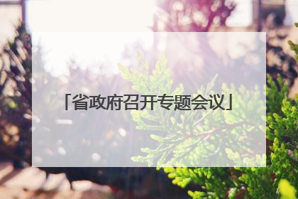 省政府召开专题会议