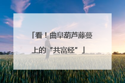 看！曲阜葫芦藤蔓上的“共富经”