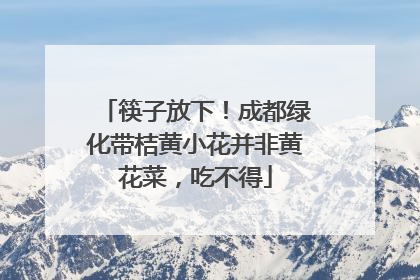 筷子放下！成都绿化带桔黄小花并非黄花菜，吃不得