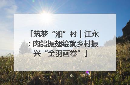 筑梦“湘”村｜江永：肉鸽振翅绘就乡村振兴“金羽画卷”
