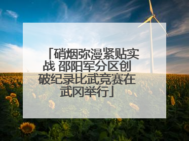 硝烟弥漫紧贴实战 邵阳军分区创破纪录比武竞赛在武冈举行