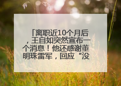 离职近10个月后，王自如突然宣布一个消息！他还感谢董明珠雷军，回应“没看过格力工资条”：真的不那么重要！