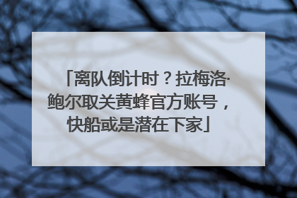 离队倒计时？拉梅洛·鲍尔取关黄蜂官方账号，快船或是潜在下家