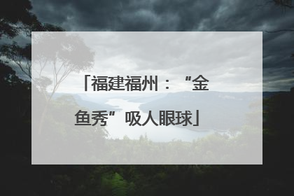 福建福州：“金鱼秀”吸人眼球