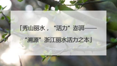 秀山丽水，“活力”澎湃——“溯源”浙江丽水活力之本