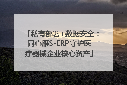 私有部署+数据安全：同心雁S-ERP守护医疗器械企业核心资产