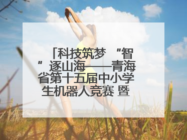科技筑梦 “智”逐山海——青海省第十五届中小学生机器人竞赛 暨第八届创新设计大赛见闻