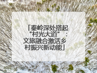 秦岭深处搭起“村光大道”：文旅融合激活乡村振兴新动能
