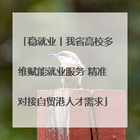 稳就业丨我省高校多维赋能就业服务 精准对接自贸港人才需求