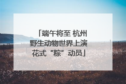 端午将至 杭州野生动物世界上演花式“粽”动员