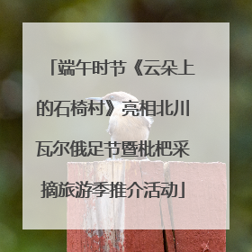 端午时节《云朵上的石椅村》亮相北川瓦尔俄足节暨枇杷采摘旅游季推介活动