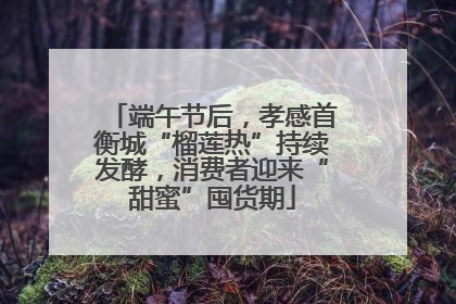 端午节后，孝感首衡城“榴莲热”持续发酵，消费者迎来“甜蜜”囤货期