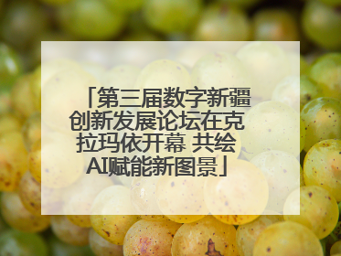 第三届数字新疆创新发展论坛在克拉玛依开幕 共绘AI赋能新图景