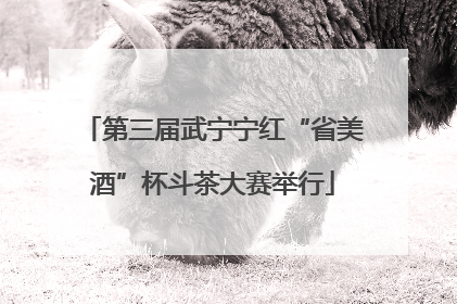 第三届武宁宁红“省美酒”杯斗茶大赛举行