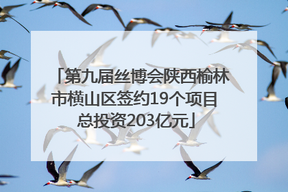 第九届丝博会陕西榆林市横山区签约19个项目 总投资203亿元
