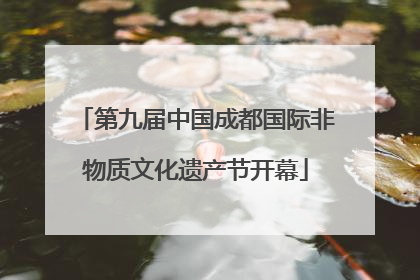 第九届中国成都国际非物质文化遗产节开幕