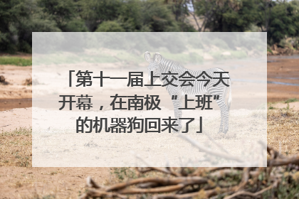 第十一届上交会今天开幕，在南极“上班”的机器狗回来了