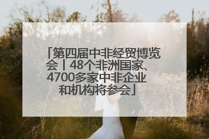 第四届中非经贸博览会丨48个非洲国家、4700多家中非企业和机构将参会