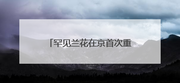 罕见兰花在京首次重返山野！极度濒危，幼苗曾遭野猪啃食