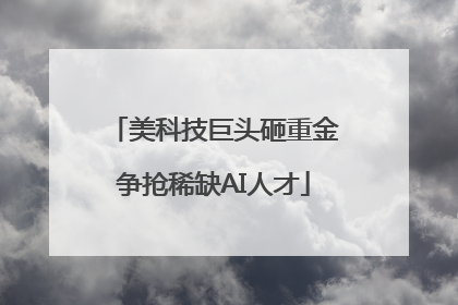 美科技巨头砸重金争抢稀缺AI人才